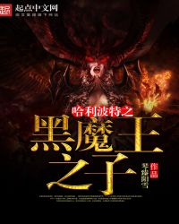 哈利波特之黑暗时代小说